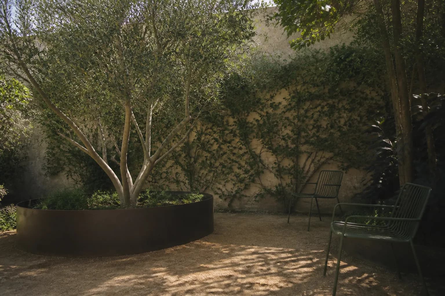 A small courtyard with a decomposed granite floor, a steel planter holding an olive tree and chairs in the shade.
