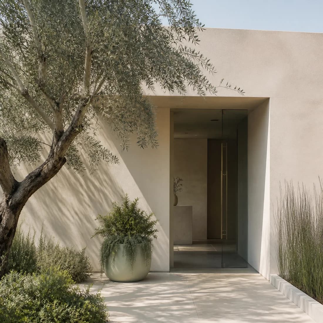A low studio front with an olive tree and soft shadow