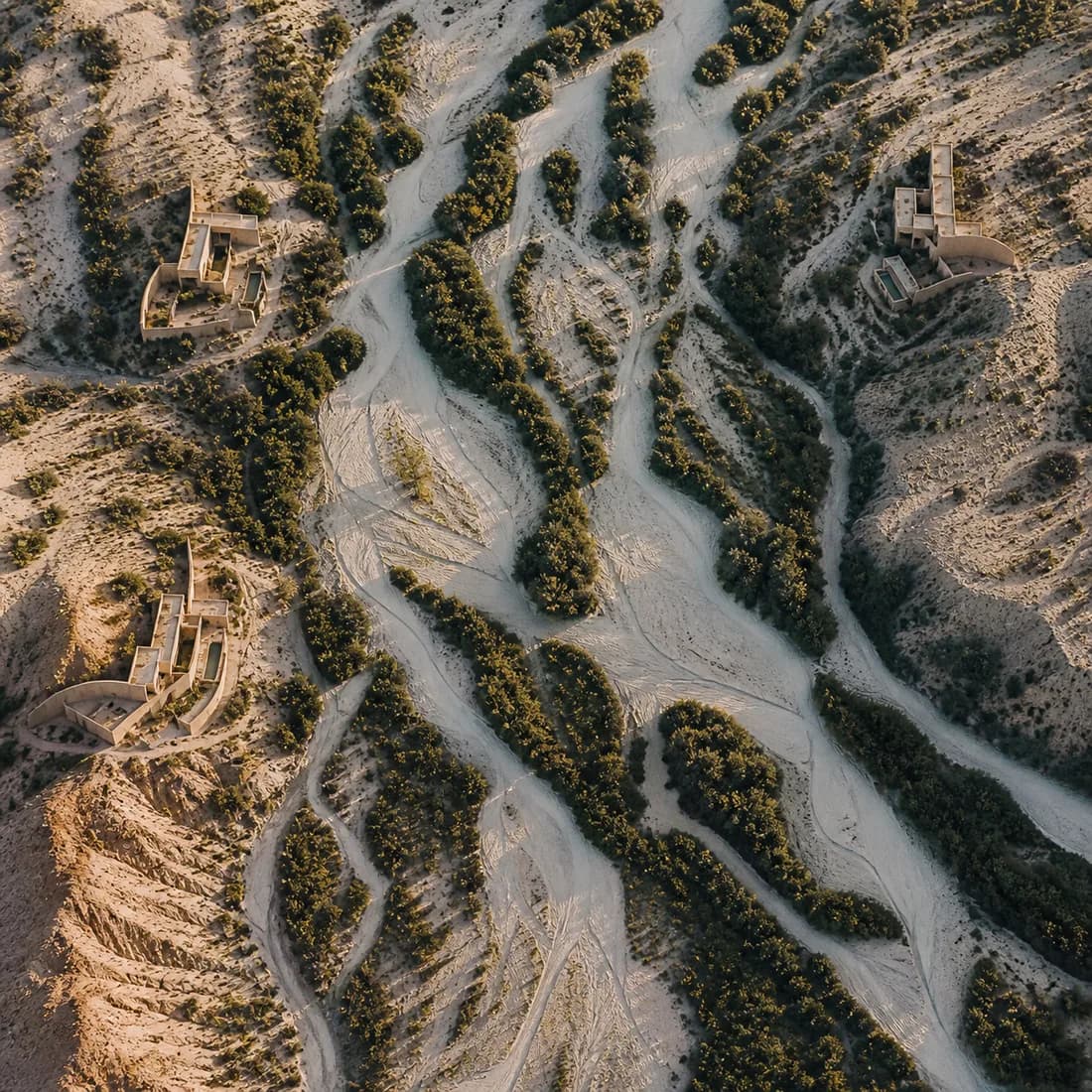 An aerial view straight down at a dry wash braiding across pale sand