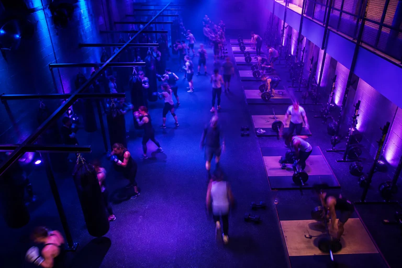 The whole studio floor seen from the mezzanine: bag rows on one side, lifting platforms on the other